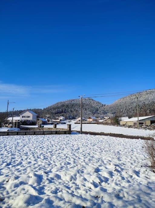 Gite Cosy Avec Avec Jardin Et Parking Privatifs - Hautes Vosges Saint-Amé Exteriör bild