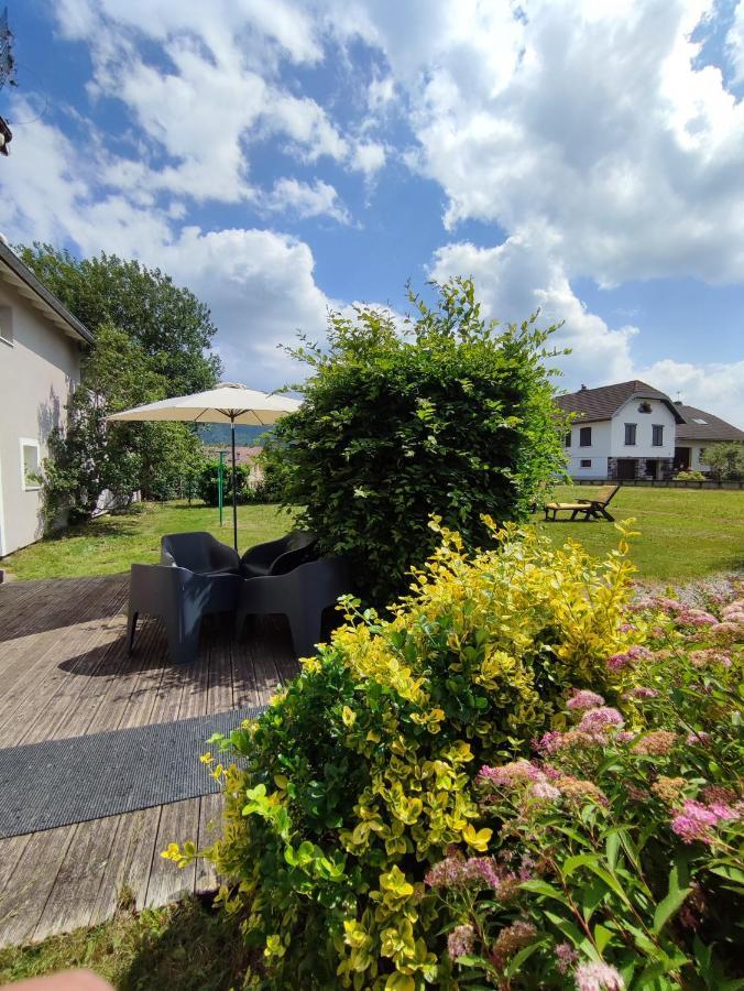 Gite Cosy Avec Avec Jardin Et Parking Privatifs - Hautes Vosges Saint-Amé Exteriör bild