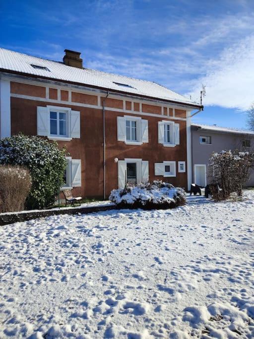 Gite Cosy Avec Avec Jardin Et Parking Privatifs - Hautes Vosges Saint-Amé Exteriör bild